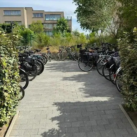 Crevette Gezellig Met Zonnige Terrassen En Zeezicht - Toplocatie! * Koksijde